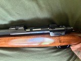 Early Ruger M77 Varminter Rifle 22-250 Cal 24" Bull Barrel - Excellent Condition - 15 of 19
