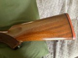 Early Ruger M77 Varminter Rifle 22-250 Cal 24" Bull Barrel - Excellent Condition - 13 of 19