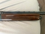Beautiful 1969 Belgium Browning A5 20 Gauge Mag 28