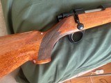 Sako L579 Forester 243 Win 24 “ Barrel - Original 1970 in Excellent Condition - 4 of 15