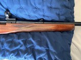 Winchester Model 70 Sporter Cabelas's 50th Anniversary Ltd Ed 300 Win Mag #35 of 750 - Excellent Condition - 7 of 16