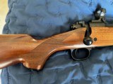 Winchester Model 70 Sporter Cabelas's 50th Anniversary Ltd Ed 300 Win Mag #35 of 750 - Excellent Condition - 4 of 16
