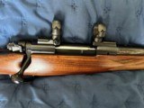 Winchester Model 70 Sporter Cabelas's 50th Anniversary Ltd Ed 300 Win Mag #35 of 750 - Excellent Condition - 5 of 16