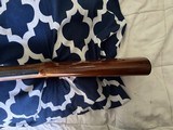 1960 Browning A5 Std 12 29" Barrel Full Choke - 100% Original - Excellent Condition - 12 of 20