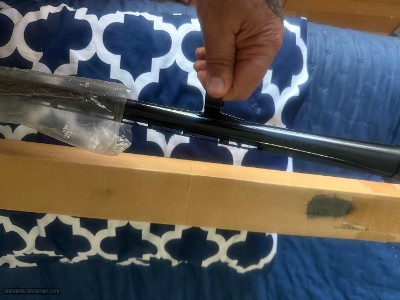 Browning A5 Lt 20 Gauge 28