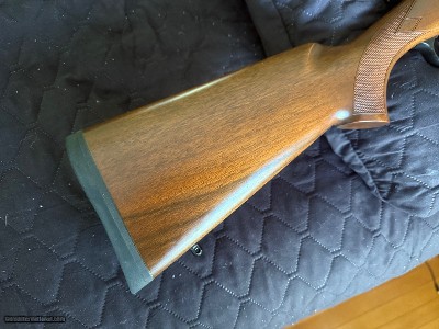CZ 550 American Bolt Rifle 22-250 Cal 24" Threaded Barrel - Excellent Condition - Image 2 of 15