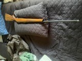 CZ 550 American Bolt Rifle 22-250 Cal 24" Threaded Barrel - Excellent Condition - 13 of 15