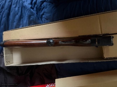 Winchester Model 23 Light Duck Pigeon Grade 20 Gauge #54 of 500 - ANIB - Image 8 of 18