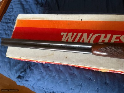 Winchester Model 23 Light Duck Pigeon Grade 20 Gauge #54 of 500 - ANIB - Image 15 of 18