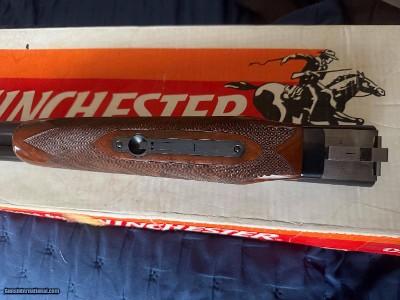 Winchester Model 23 Light Duck Pigeon Grade 20 Gauge #54 of 500 - ANIB - Image 14 of 18