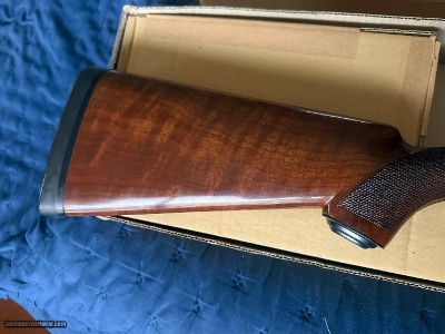 Winchester Model 23 Lady Duck Pigeon Grade 20 Gauge #54 of 500 - ANIB