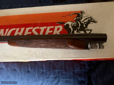 Winchester Model 23 Light Duck Pigeon Grade 20 Gauge #54 of 500 - ANIB - Image 16 of 18