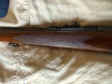 1948 Winchester Model 70 Transition 270 W.C.F Rifle - 13 of 18