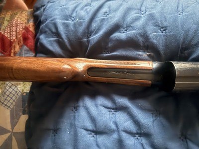 Browning A5 LT 12 Japan Semi Auto Shotgun Vented 28" Barrel Fixed Modified Choke - Pristine - Image 15 of 19