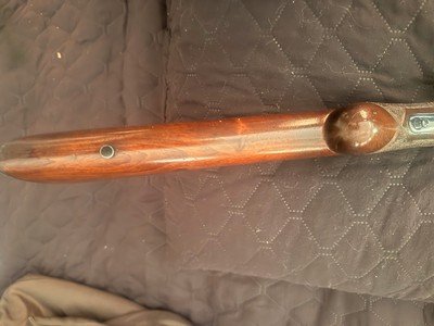 FN Browning A5 12 Gauge Semi Auto First Year FN Production After WWII 28