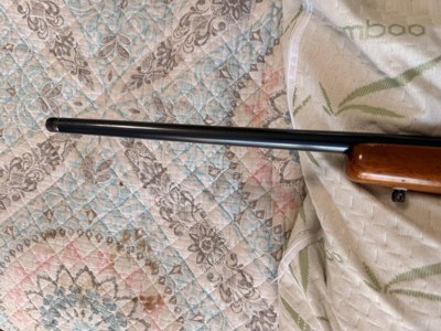 1984 Ruger M77 22-250 Rem Cal Bolt Action Rifle 22