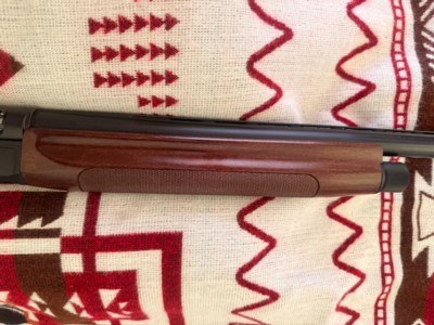 Rare Beretta ES 100 Pintail 12 Gauge Semi Auto Shotgun 24" Mag Vented Barrel Mobilchoke System - Excellent Condition - Image 14 of 20