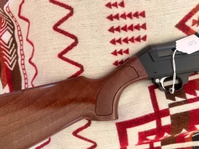 Rare Beretta ES 100 Pintail 12 Gauge Semi Auto Shotgun 24" Mag Vented Barrel Mobilchoke System - Excellent Condition - Image 13 of 20