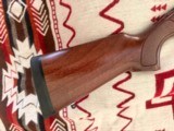 Rare Beretta ES 100 Pintail 12 Gauge Semi Auto Shotgun 24" Mag Vented Barrel Mobilchoke System - Excellent Condition - Image 5 of 20