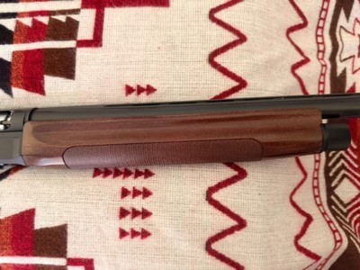 Rare Beretta ES 100 Pintail 12 Gauge Semi Auto Shotgun 24" Mag Vented Barrel Mobilchoke System - Excellent Condition - Image 8 of 20
