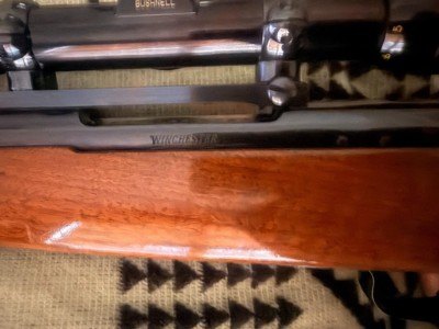 1983 Winchester Model 70 XTR .264 Win Mag - Image 12 of 16