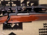 1983 Winchester Model 70 XTR .264 Win Mag - Image 5 of 16