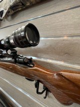 Vintage Remington 700 243 in “As New” Condition !! - 8 of 19