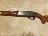 Remington Nylon 66 22LR - 2 of 8