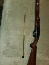 Remington Nylon 66 22LR - 6 of 8