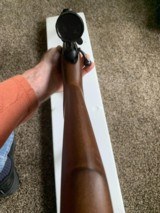 Marlin Model 25MN .22 WMR cal. bolt action hunting rifle - 8 of 10