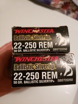 22-250 Winchester Ballistic Silvertip 50 Grain - 1 of 4