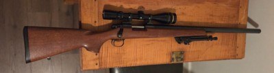 Remington 40x rifle chambered in 17 remington