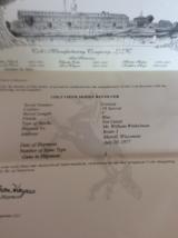 Colt Viper - 12 of 12