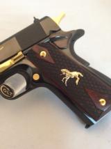 Colt 1911 Talo Longhorn
- 8 of 13
