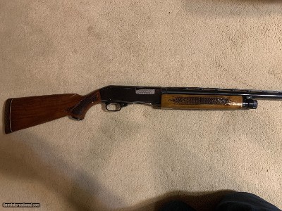 Ted Williams 12ga Pump