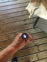 Historic Savage 1895 (father of 1899) in .303 Savage 26" Octagon Barrel, Crescent BP - 15 of 15