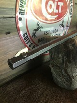 Historic Savage 1895 (father of 1899) in .303 Savage 26" Octagon Barrel, Crescent BP - 6 of 15