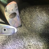 Historic Savage 1895 (father of 1899) in .303 Savage 26" Octagon Barrel, Crescent BP - 14 of 15