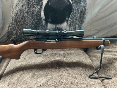 Walnut Ruger 10-22