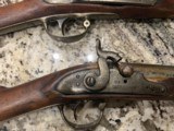 Harper Ferry & US 1841 percussion Rifles for sale - 2 of 14