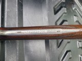 W&C Scott 12 gauce sidelock shotgun - crystal indicators - 6 of 11