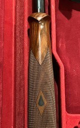 Caesar GueriniMagnus12 GA - 12 of 12