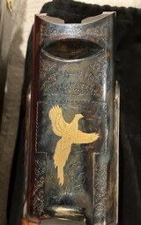 Caesar GueriniMagnus12 GA - 11 of 12