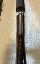 Ducks Unlimited 1988 browning A5
Sweet Sixteen - 9 of 14