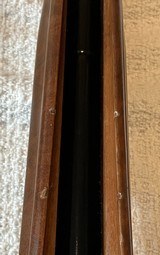 Benelli Montefeltro Ultra Light 20 ga - 12 of 15