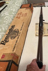 Remington Nylon 66 Mohawk Brown 22 LR - 10 of 13