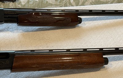 Ducks Unlimited 1981 Remington 1100 LT-20 Ducks Unlimited 1982 870 LT-20 - Image 8 of 12