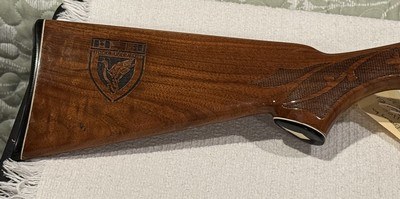 Ducks Unlimited 1981 Remington 1100 LT-20 - Image 6 of 14