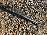 Custom Made 28 Nosler, Curtis Custom Action, Trigger Tech, Proof Research, Hawkins Precision, Etc - 6 of 11