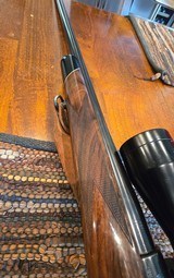 .375 Weatherby FN Mauser Mint!Documented - Image 14 of 15